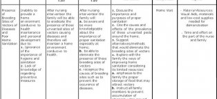 Nursing I Care plans templates