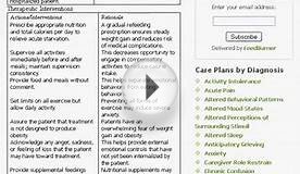 nursing care plan website